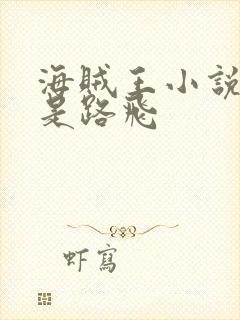 海贼王小说主角是路飞封面