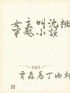 女主叫沈桃桃的穿越小说