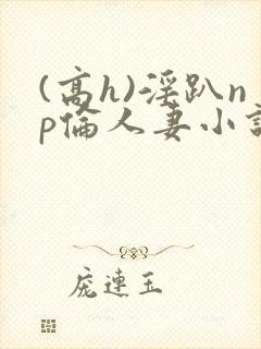 (高h)淫趴np伦人妻小说封面