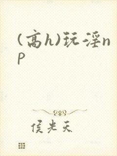 (高h)玩淫np