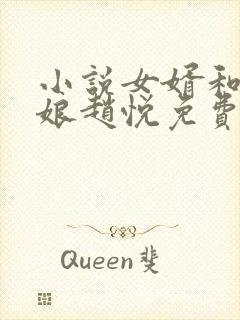 小说女婿和丈母娘赵悦免费阅读封面