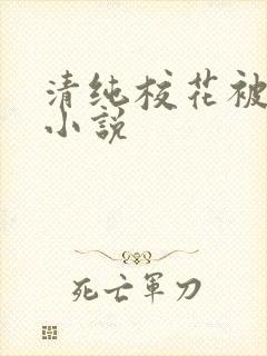 清纯校花被日常小说封面