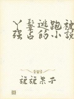 丫鬟逃跑被男主强占的小说