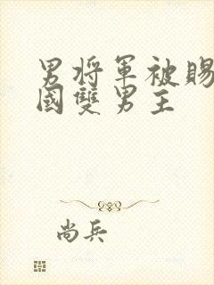 男将军被赐给敌国双男主封面