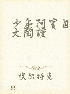 少年阿宾目录全文阅读封面