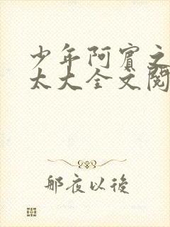 少年阿宾之房东太大全文阅读目录封面