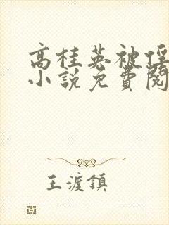 高桂英被俘虏的小说免费阅读