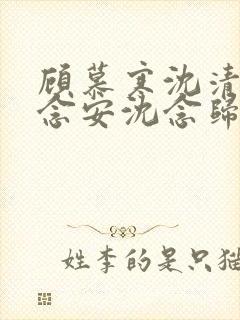 顾慕寒沈清宁沈念安沈念归封面