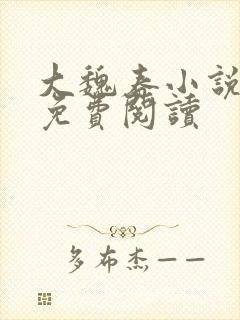 大魏春小说全文免费阅读封面