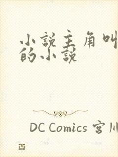 小说主角叫萧凡的小说封面