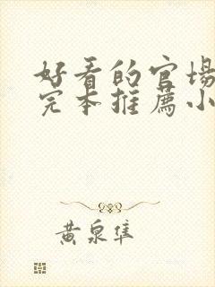 好看的官场小说完本推荐小说