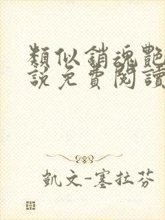 类似销魂艳婢小说免费阅读