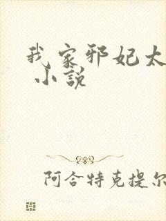 我家邪妃太嚣张 小说