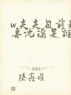 w夫夫目前犯若妻沈瑶是谁写的