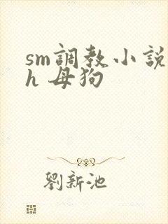sm调教小说高h 母狗