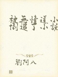 被无情道小师弟倒追了小说免费阅读全文番外