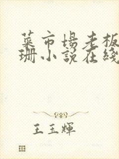 菜市场老板李芷珊小说在线阅读