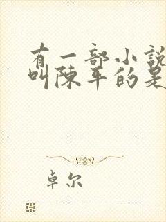 有一部小说主角叫陈平的是什么小说封面