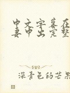 中文字幕在线人妻中出完整版