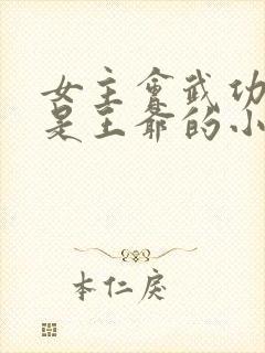 女主会武功男主是王爷的小说