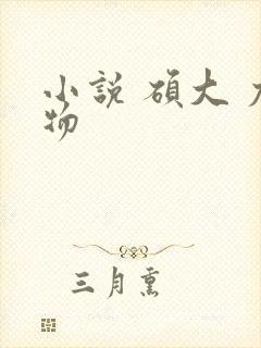 小说 硕大 尤物