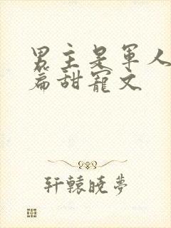 男主是军人的短篇甜宠文封面