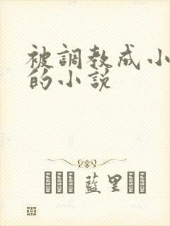 被调教成小母狗的小说