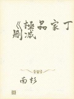 《极品家丁》无删减