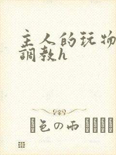 主人的玩物重口调教h封面