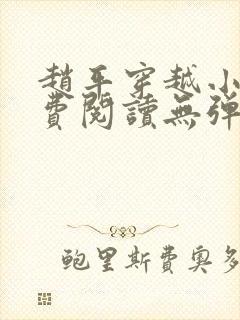 赵平穿越小说免费阅读无弹窗