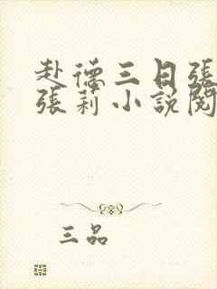 赴德三日张慧和张莉小说阅读封面