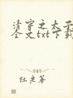 清穿之太子娇妃全文txt下载封面