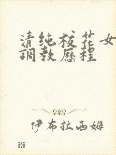 清纯校花女友的调教历程封面