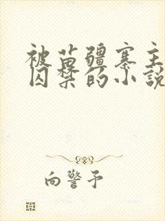 被苗疆寨主抓住囚禁的小说女主