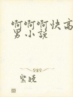 啊啊啊快高潮了男小说