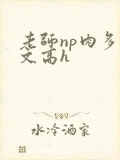 老师np肉多荤文高h