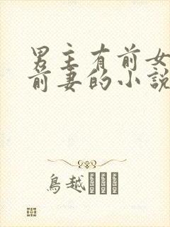 男主有前女友或前妻的小说