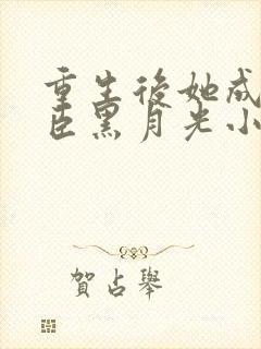 重生后她成了权臣黑月光小说封面