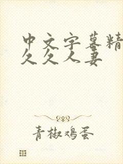 中文字幕精品久久久人妻