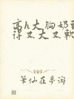 高h大胸奶头晃得又大又软