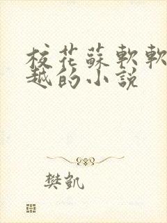 校花苏软软和沈越的小说