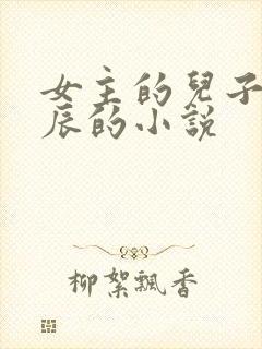 女主的儿子叫辰辰的小说封面