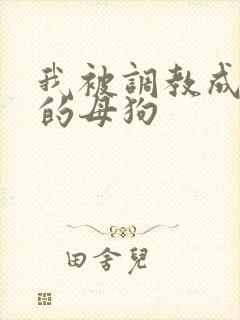 我被调教成下贱的母狗