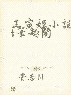 正寅姬小说txt笔趣阁