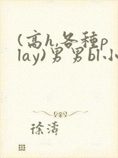 (高h,各种play)男男bl小说