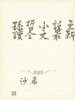 孙哲小说免费阅读全文最新章节下载