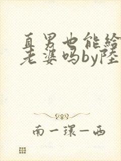 直男也能给人当老婆吗by陆酌言小说