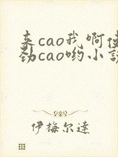 来cao我啊使劲cao哟小说