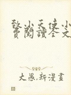 致小天使小说免费阅读全文无弹窗