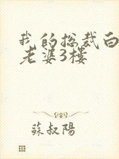 我的总裁白富美老婆3楼